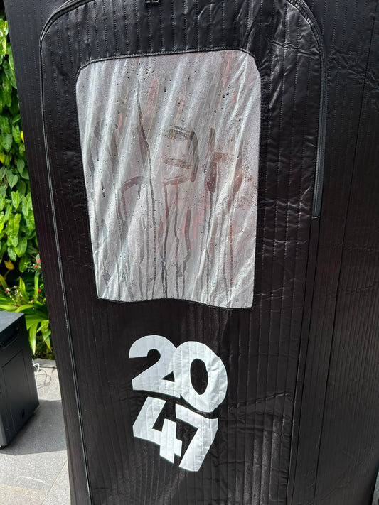 2047 Veyra